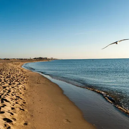 Cap Sud-8 By Interhome Apartment Canet-en-Roussillon